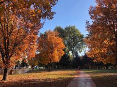 -长春公园(普阳街道)