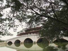 -大湾区中央湿地公园