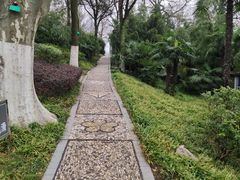 -菊花台公园