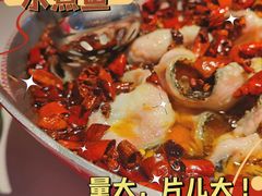 -京城·森鸽排档(双井店)