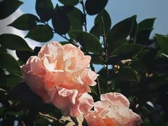 -大妙火锅·非物质文化遗产(东湖公园店)