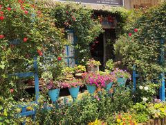 -桂林市花鸟市场