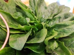 -丰记老北京铜锅涮肉