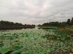 -郑东新区龙湖公共艺术中心