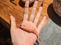 -樱之盛宴·蟹料理海鲜自助(前进大街店)