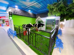 -DoDo梦想城(泉舜购物中心店)