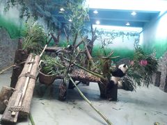 -成都大熊猫繁育研究基地-熊猫厨房