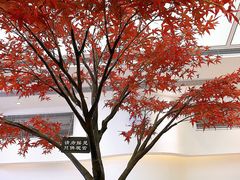 -艾薯夫妇Aysh(福田星河COCOPark店)