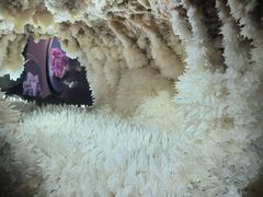 -湖南省地质博物馆