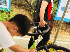 -武汉紫薇都市田园