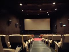 -百老汇电影中心(油麻地店)