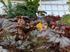 -石家庄市植物园