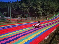 -武陵山森林公园