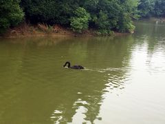 -艾溪湖湿地公园