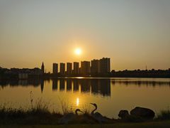 -美的鹭湖森林度假区