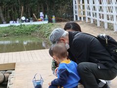 -前小桔亲子创意农场·草莓采摘·露营烧烤