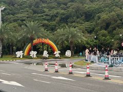 -野狸岛