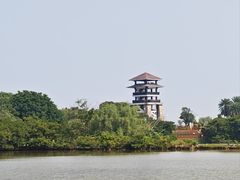 -大湾区中央湿地公园