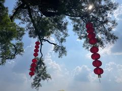 -广州市白云山风景名胜区