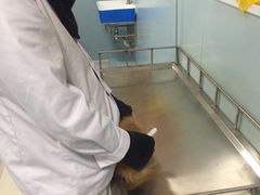 -中农大我爱我爱24h动物医院·中医针灸·猫专科·骨科医疗中心(双井店)
