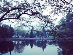 -韶山毛泽东同志故居