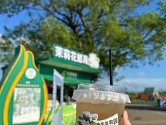 -中华茉莉园