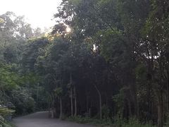 -滴水岩森林公园
