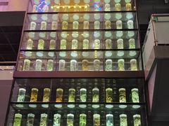 -广东中医药博物馆