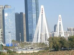 -月湖风景区