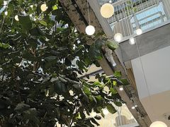-大树餐厅(红旗街万达店)