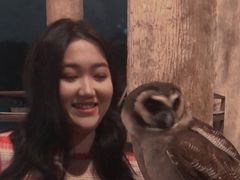 -清迈夜间动物园