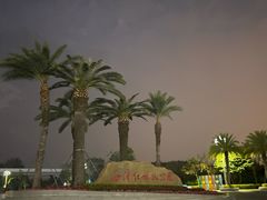 -宝安西湾红树林湿地公园