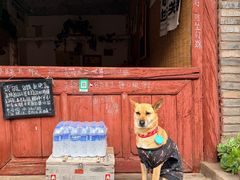 -巍山古城