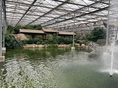 -九天休闲谷