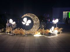 -泰盛楼顶摩天轮
