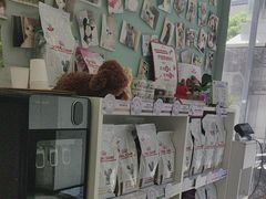 -爱妮康宠物医院·干细胞免疫细胞·肿瘤·心脏(张江店)