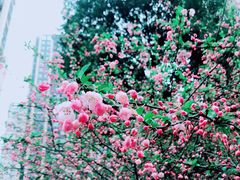 -永旺梦乐城(金银潭店)
