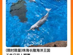 -珠海长隆海洋王国