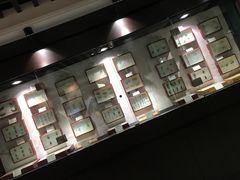 -中山市树木园