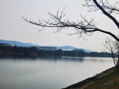-羊山湖公园