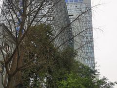 -四川大学华西第四医院