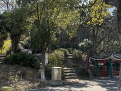 -平湖九龙山旅游度假区
