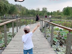 -昆山城市生态森林公园