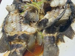 清蒸活黑鱼-聚缘堂·海鲜私房菜(松岭路店)