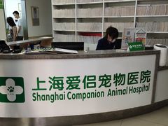 -爱侣宠医·鹦鹉专科·小型哺乳类·异宠专科(灵石路店)