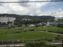 -奈良公园