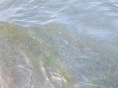 -青岛第三海水浴场