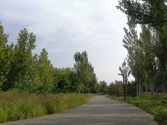 -东郊湿地公园