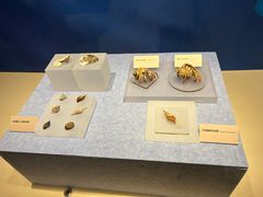 -舟山博物馆