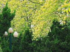 -星海公园(番禺区)